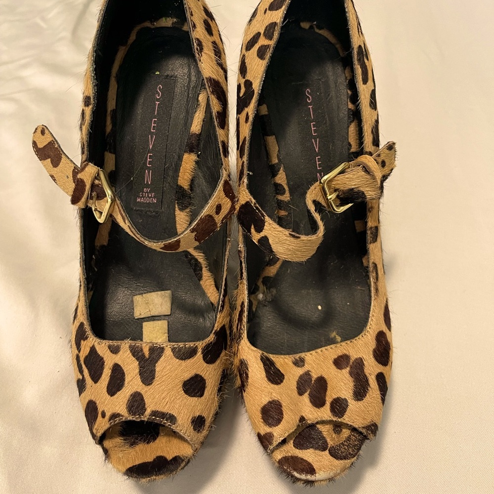 Cheetah fun